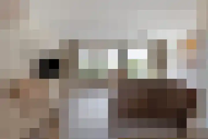Vlinderveen 521 Spijkenisse thumbnail 4