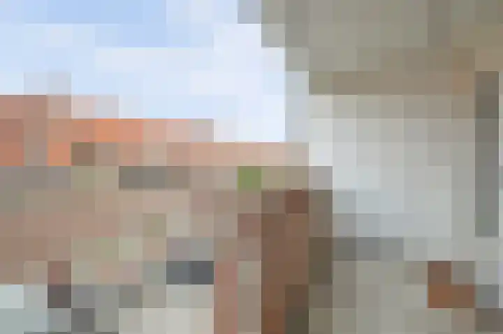 Vlinderveen 558 Spijkenisse thumbnail 17