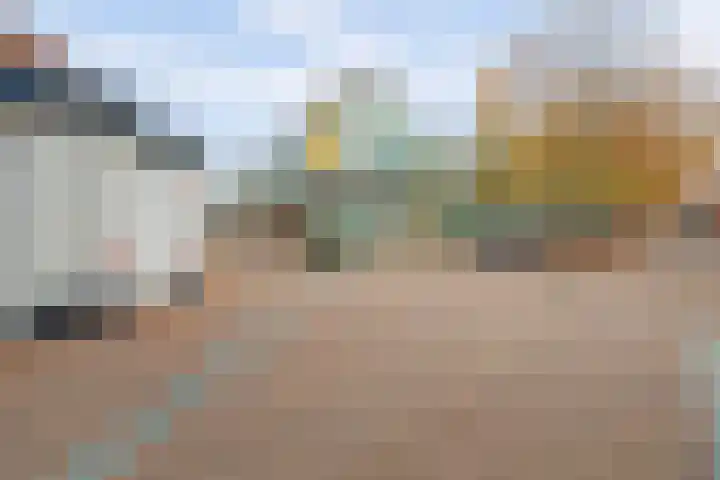 Vlinderveen 558 Spijkenisse thumbnail 22