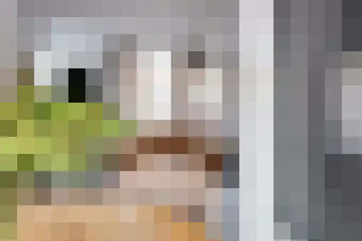 Vlinderveen 558 Spijkenisse thumbnail 7