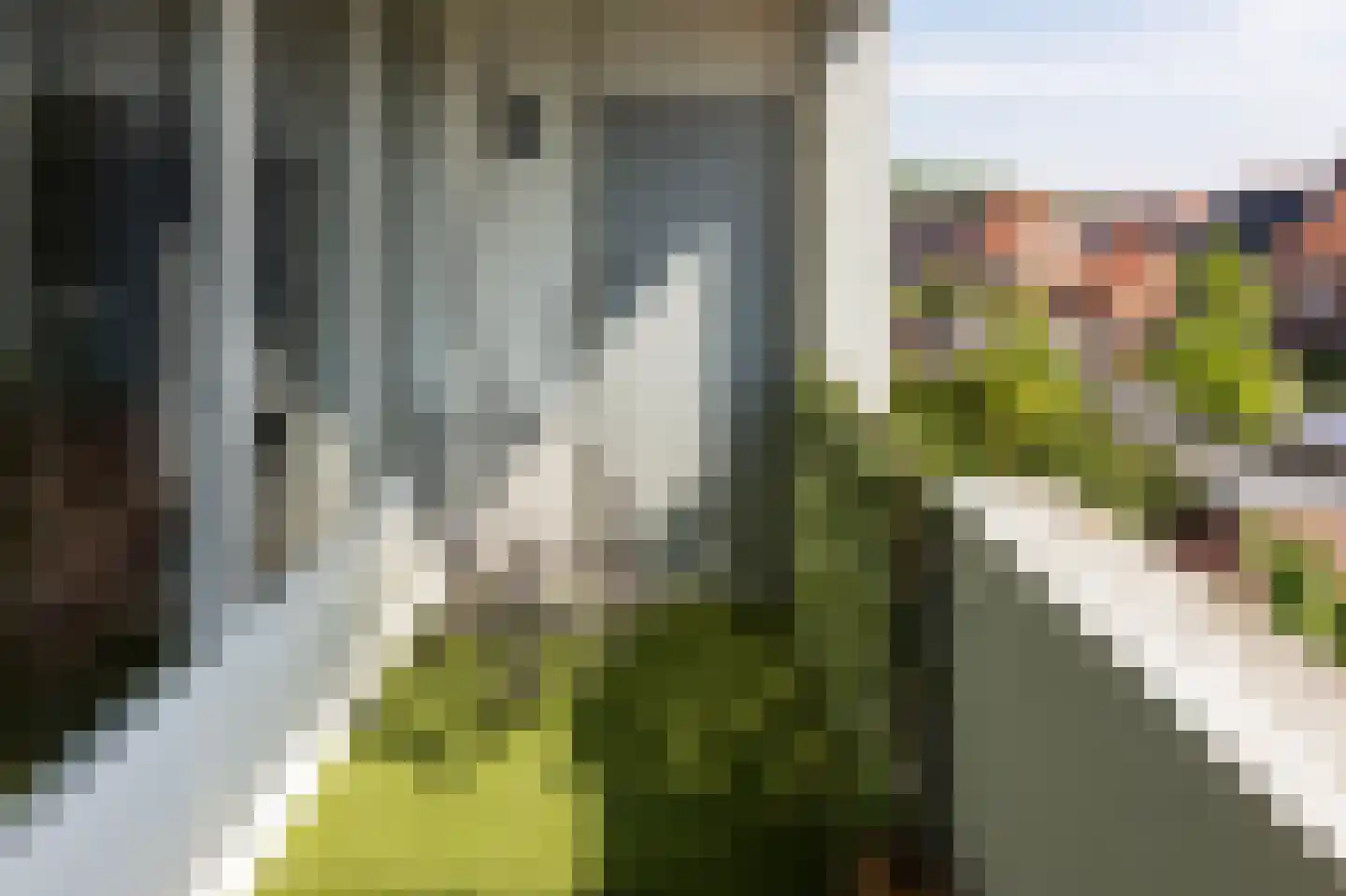 Vlinderveen 640 Spijkenisse thumbnail 12