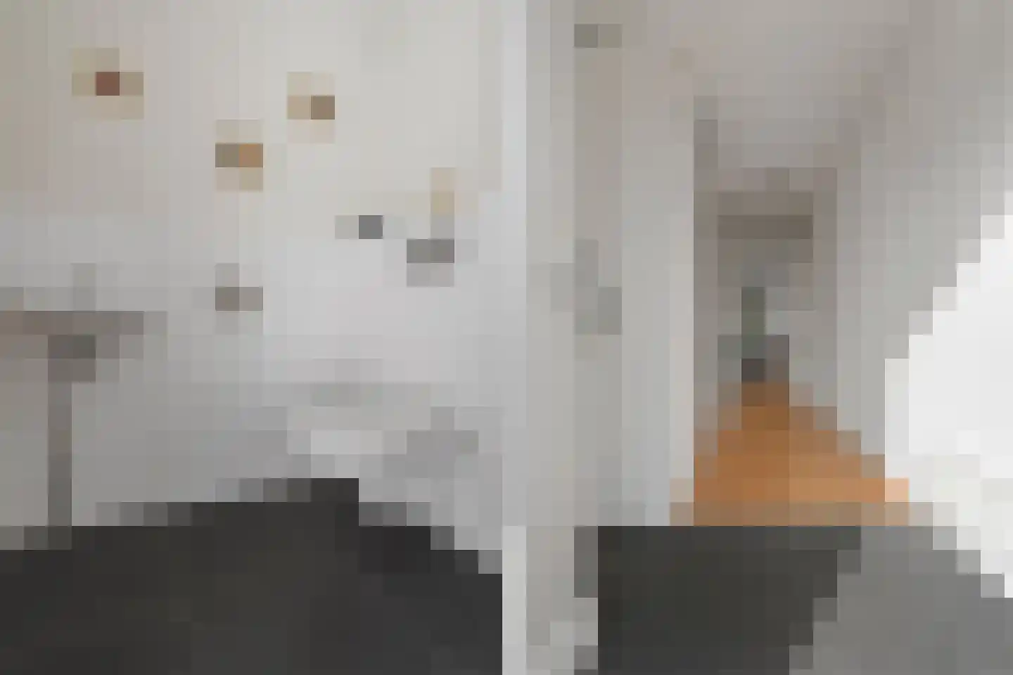 Vlinderweg 222 Aalsmeer thumbnail 32