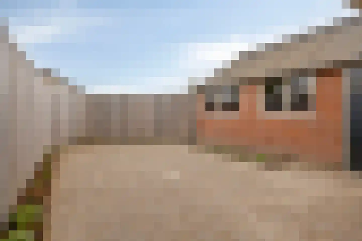 Vlinkert 12 Heusden thumbnail 24