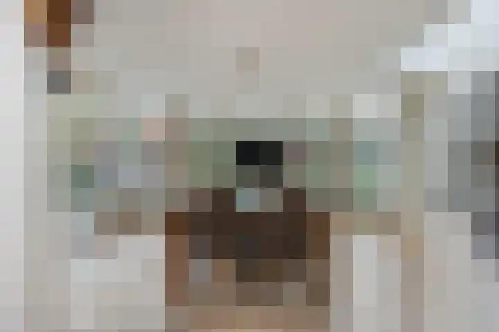 Vlinkert 17 Heusden thumbnail 12