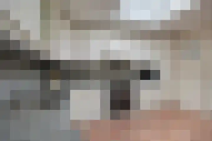 Vlinkert 17 Heusden thumbnail 15