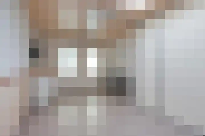 Vlinkert 17 Heusden thumbnail 22