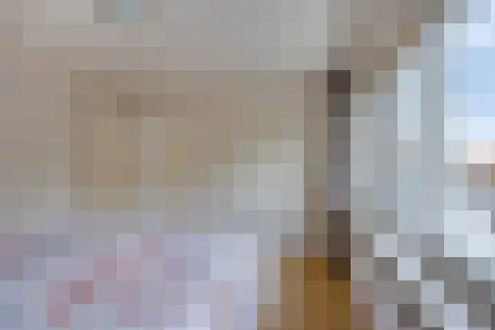 Vlinkert 17 Heusden thumbnail 27
