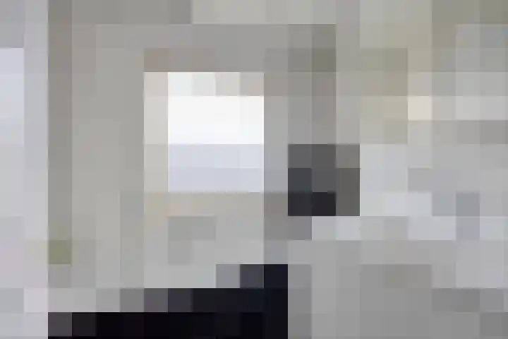 Vlinkert 17 Heusden thumbnail 30