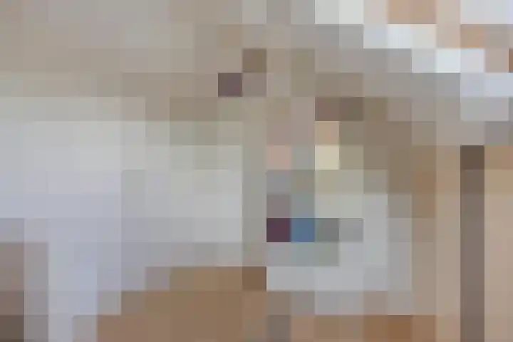 Vlinkert 17 Heusden thumbnail 33
