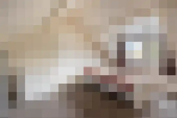 Vlinkert 17 Heusden thumbnail 34
