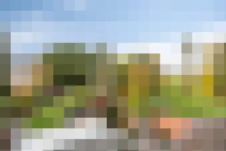 Vlinkert 17 Heusden thumbnail 35