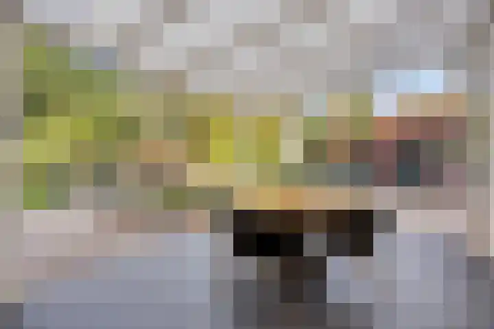 Vlinkert 17 Heusden thumbnail 36