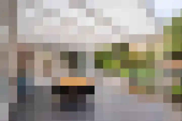 Vlinkert 17 Heusden thumbnail 37