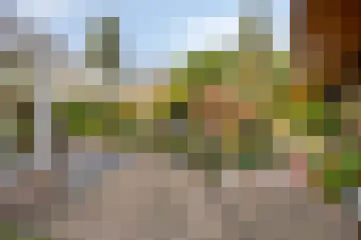 Vlinkert 17 Heusden thumbnail 38