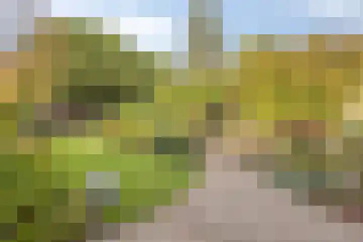 Vlinkert 17 Heusden thumbnail 39