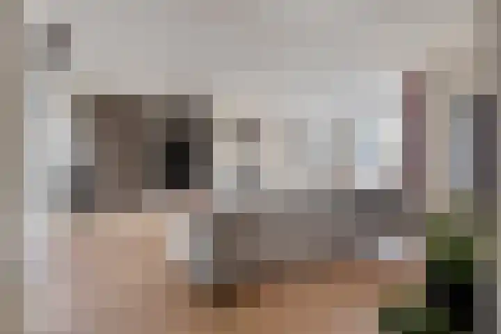 Vlinkert 17 Heusden thumbnail 4