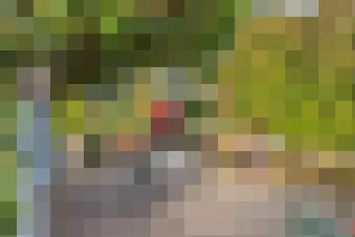 Vlinkert 17 Heusden thumbnail 40