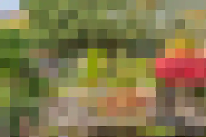 Vlinkert 17 Heusden thumbnail 41