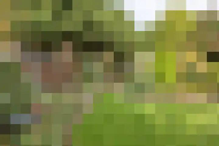 Vlinkert 17 Heusden thumbnail 42