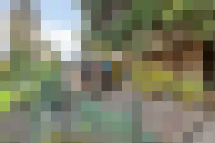 Vlinkert 17 Heusden thumbnail 43