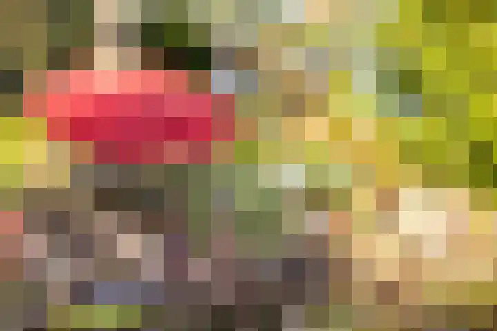 Vlinkert 17 Heusden thumbnail 45
