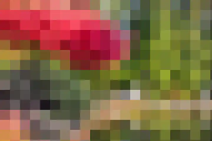 Vlinkert 17 Heusden thumbnail 46
