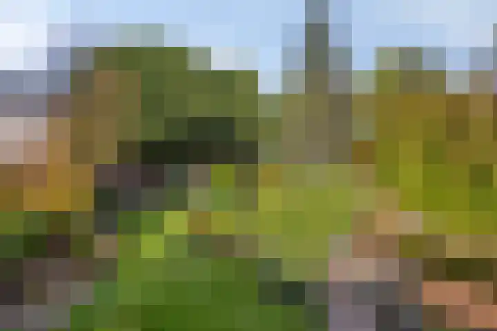 Vlinkert 17 Heusden thumbnail 47