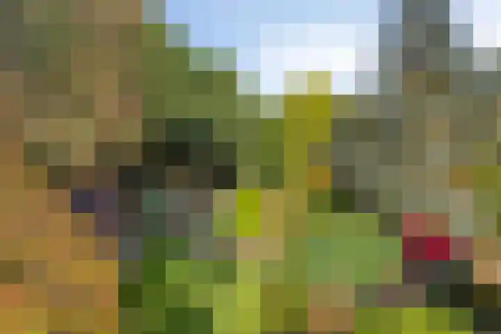 Vlinkert 17 Heusden thumbnail 48