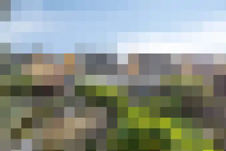Vlinkert 17 Heusden thumbnail 50