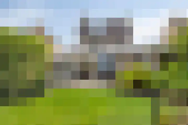 Vlinkert 17 Heusden thumbnail 52