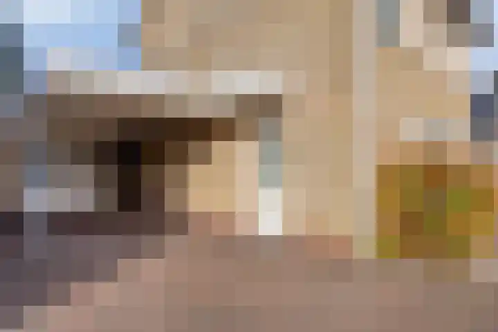 Vlinkert 17 Heusden thumbnail 55