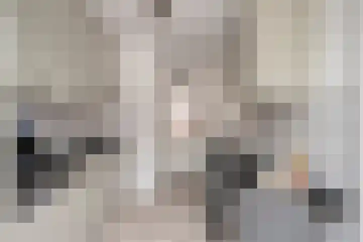 Vlinkert 21 Heusden thumbnail 12