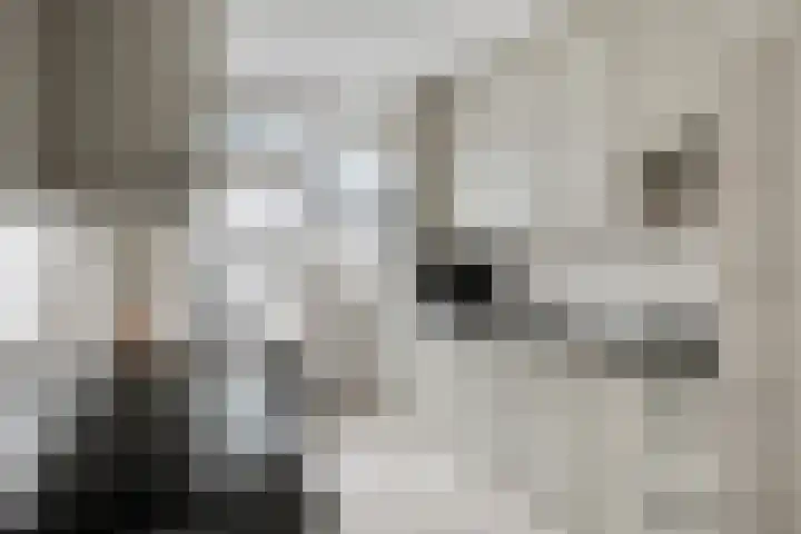 Vlinkert 21 Heusden thumbnail 14