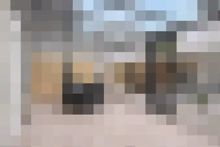 Vlinkert 21 Heusden thumbnail 15