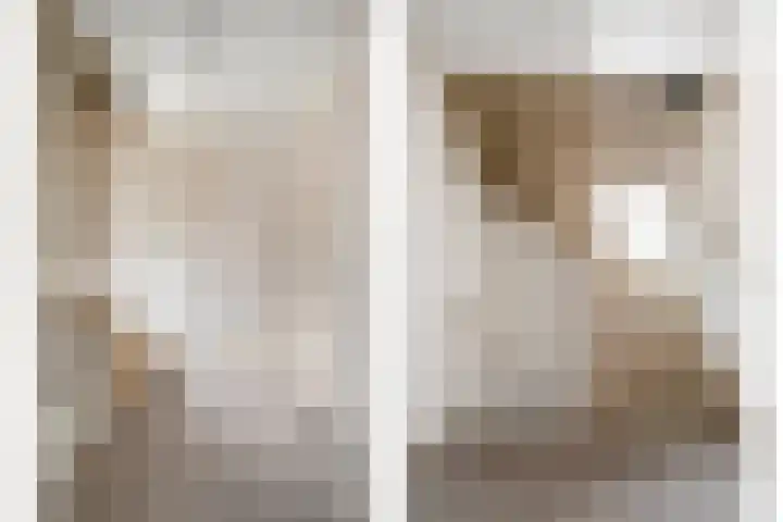 Vlinkert 21 Heusden thumbnail 17