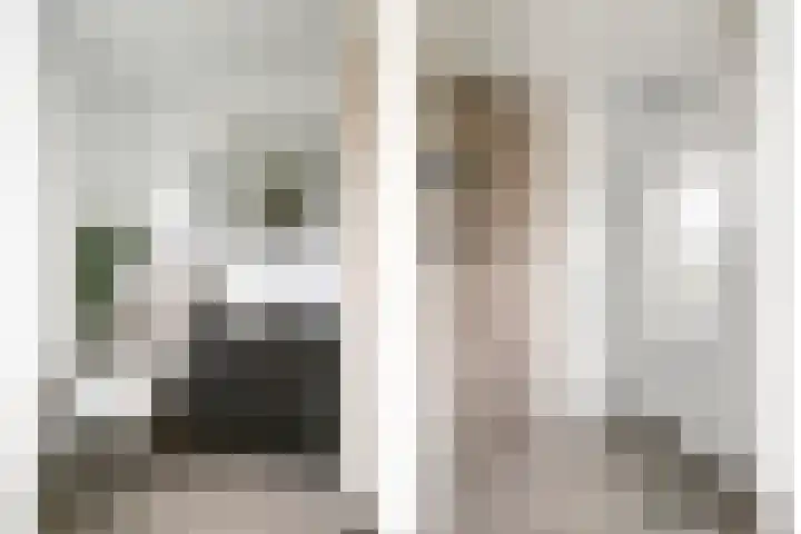 Vlinkert 21 Heusden thumbnail 24