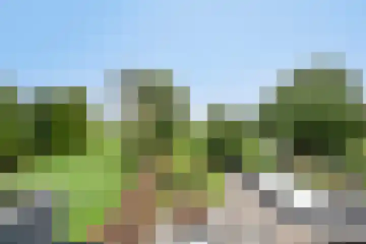 Vlinkert 21 Heusden thumbnail 28