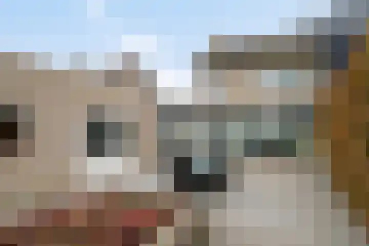 Vlinkert 21 Heusden thumbnail 29