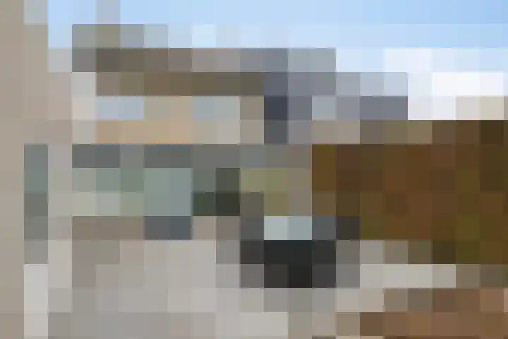 Vlinkert 21 Heusden thumbnail 34