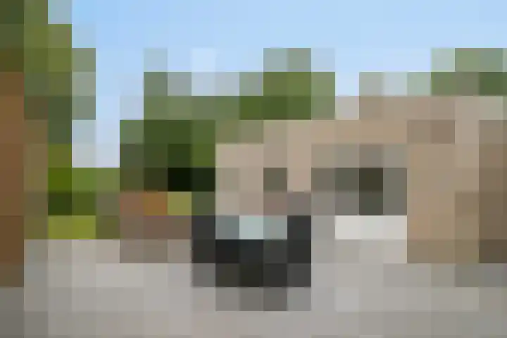 Vlinkert 21 Heusden thumbnail 35