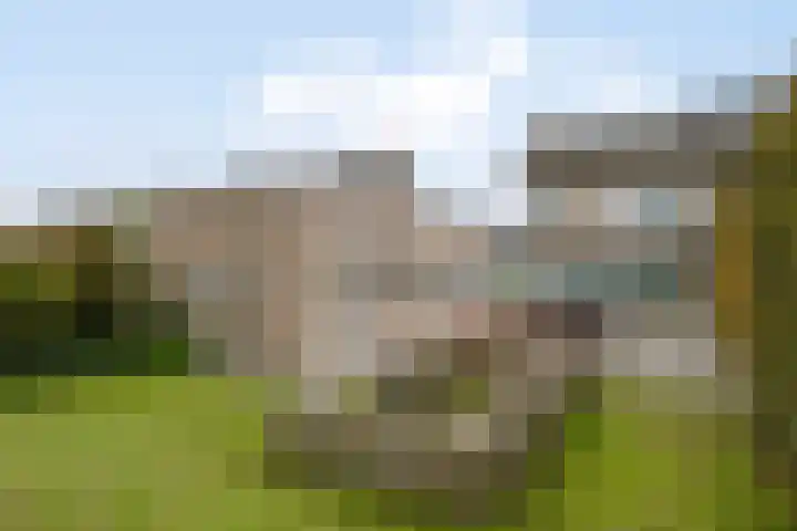 Vlinkert 21 Heusden thumbnail 36