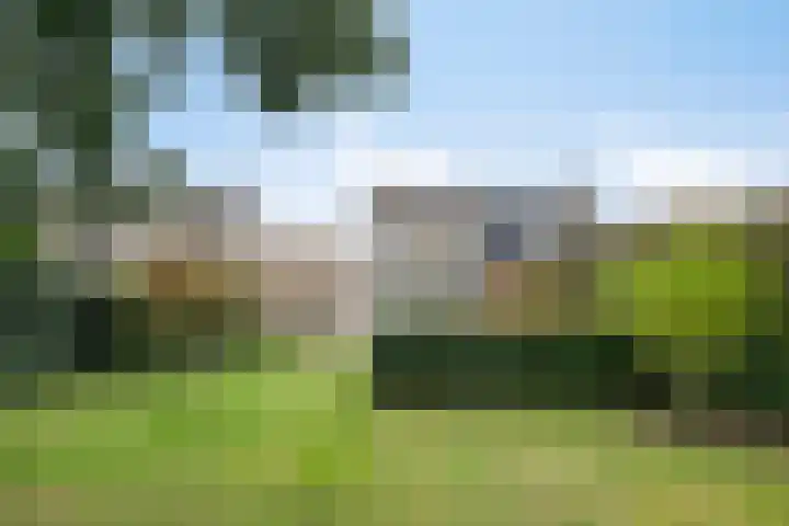 Vlinkert 21 Heusden thumbnail 38