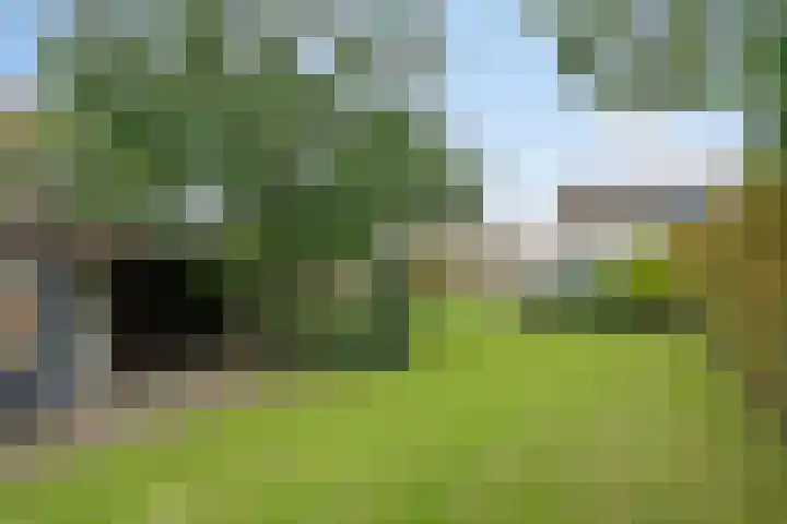 Vlinkert 21 Heusden thumbnail 39