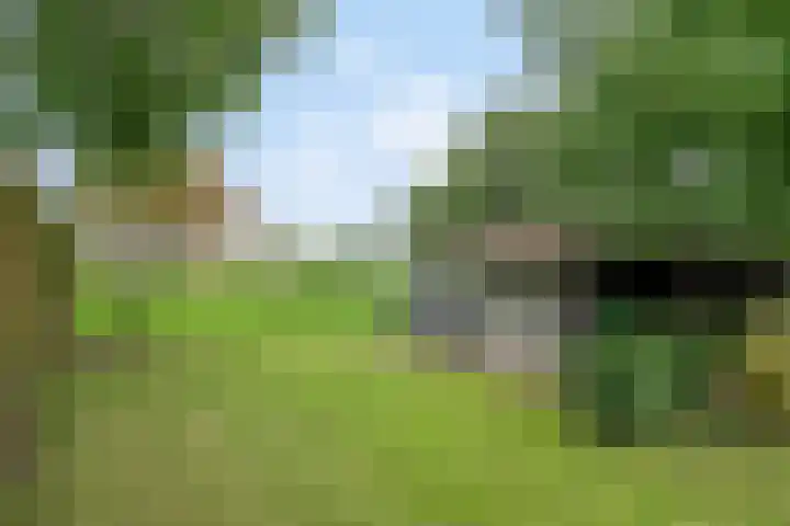 Vlinkert 21 Heusden thumbnail 40
