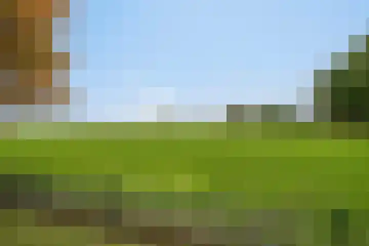 Vlinkert 21 Heusden thumbnail 41