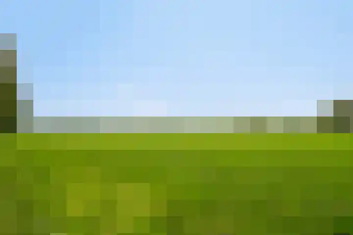 Vlinkert 21 Heusden thumbnail 42