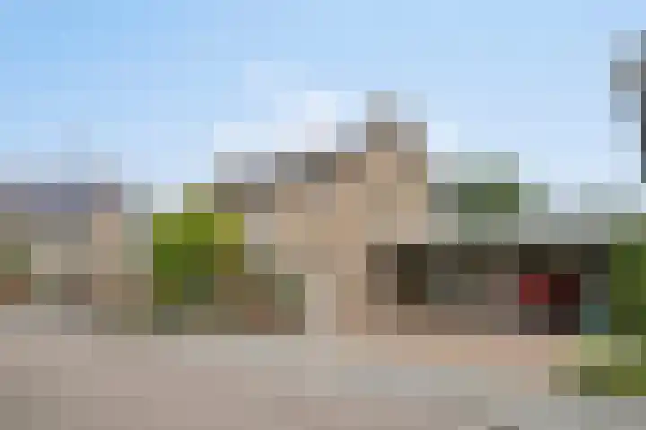 Vlinkert 21 Heusden thumbnail 43