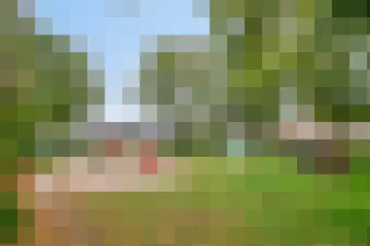 Vlinkert 21 Heusden thumbnail 44