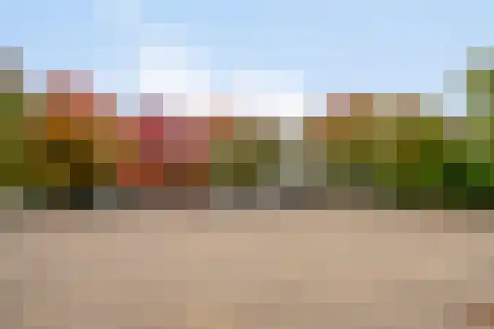 Vlinkert 21 Heusden thumbnail 45