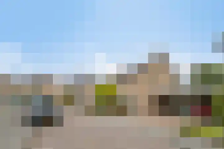 Vlinkert 21 Heusden thumbnail 6